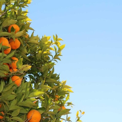 Abstract Wallpapers wallpaper