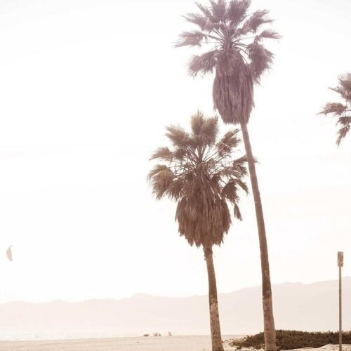 Abstract Wallpapers wallpaper