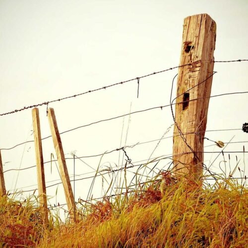 Abstract Wallpapers wallpaper