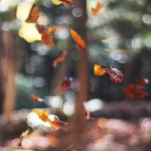 Abstract Wallpapers wallpaper