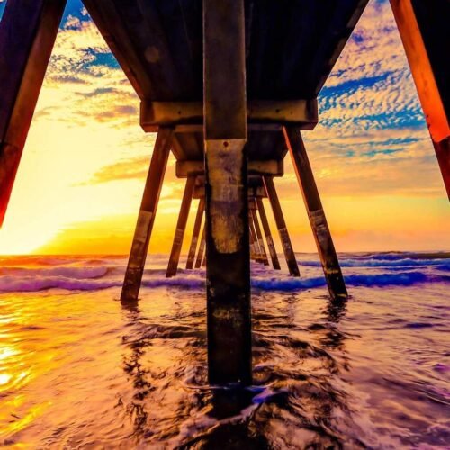 Floral Wallpapers wallpaper