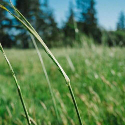 Geometric Wallpapers wallpaper