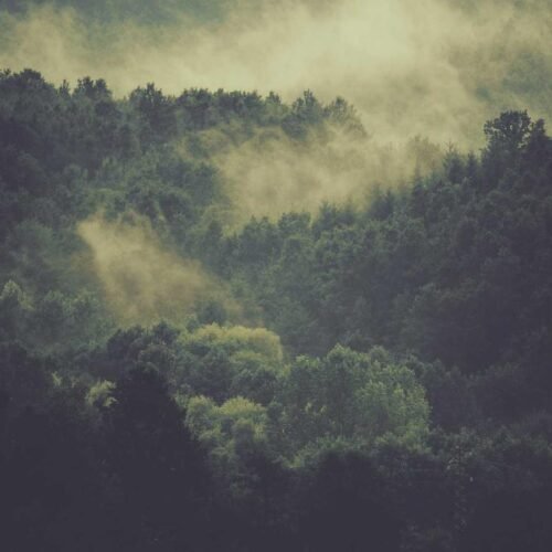 Minimalist Wallpapers wallpaper