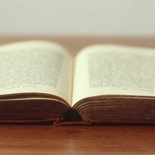 Nature Wallpapers wallpaper