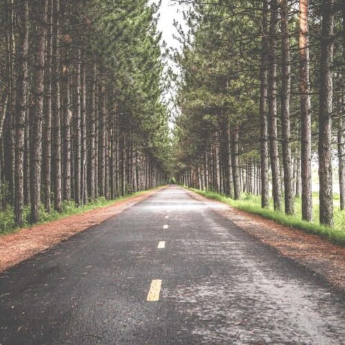 Nature Wallpapers wallpaper